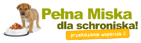 logo-duze-pelnamiska.png