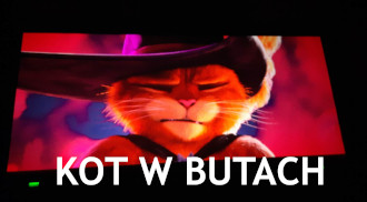 kot w&nbsp;butach min